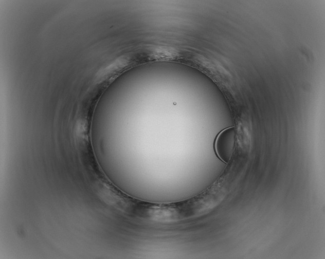 X0000112360714200908131456