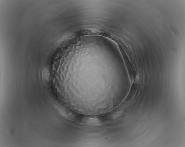 X0000112360715200908131456