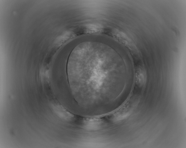 X0000112360716200908131456