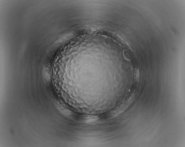 X0000112360719200908131456