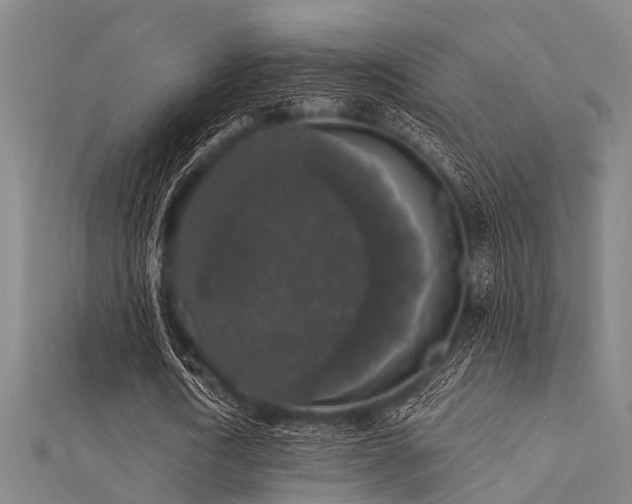 X0000112360722200908131455