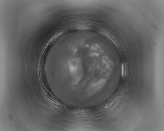 X0000112360723200908131455
