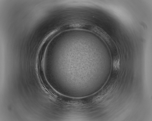 X0000112360724200908131455