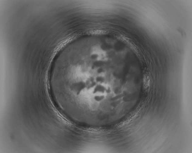 X0000112360725200908131455