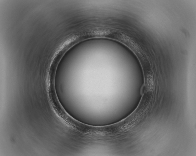 X0000112360726200908131455