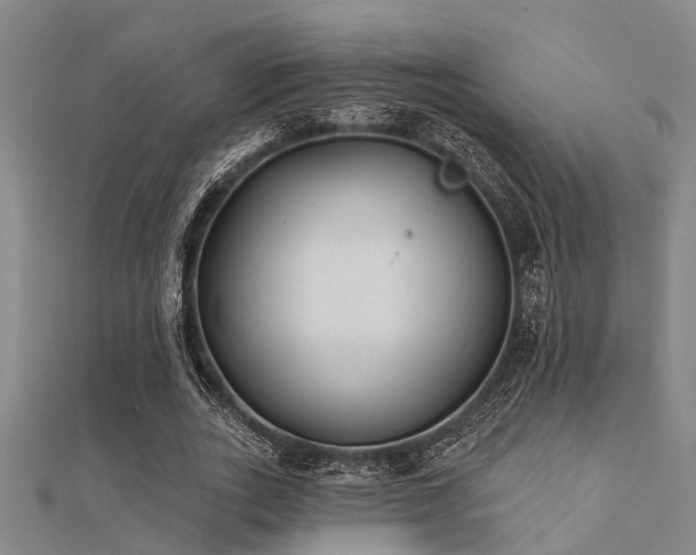X0000112360727200908131455