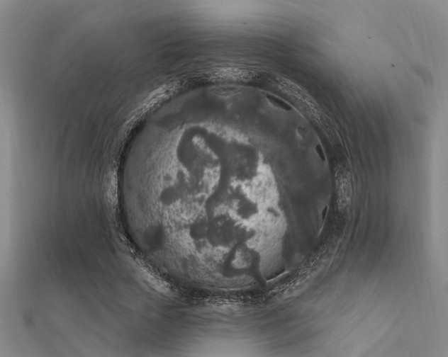 X0000112360729200908131455