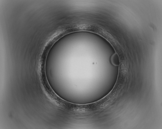 X0000112360730200908131455
