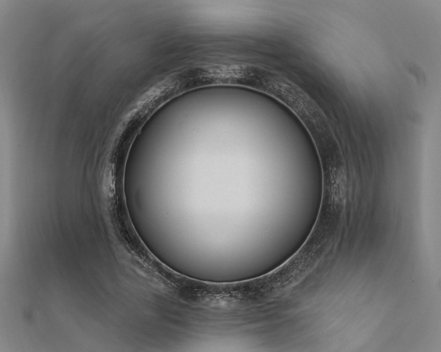 X0000112360731200908131455