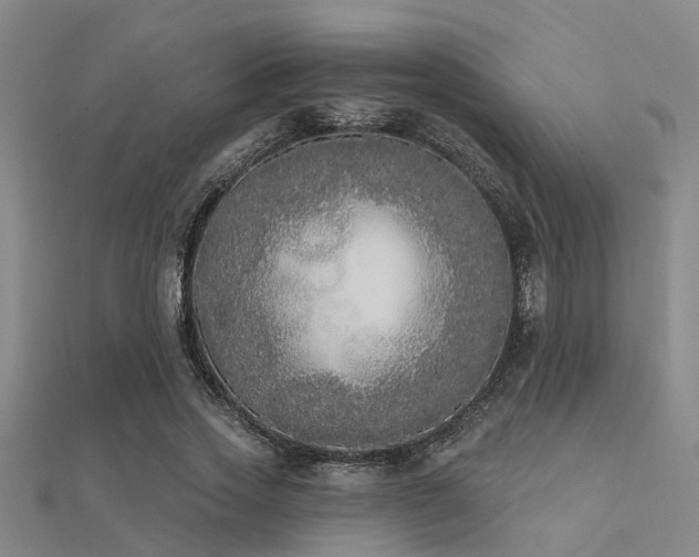 X0000112360733200908131455