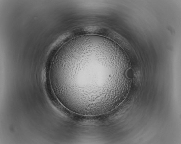 X0000112360734200908131455