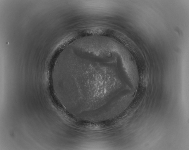 X0000112360735200908131455