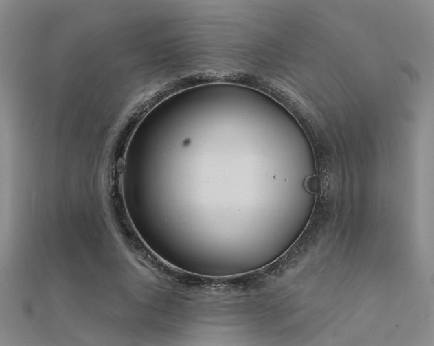 X0000112360736200908131455