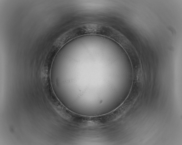 X0000112360737200908131455