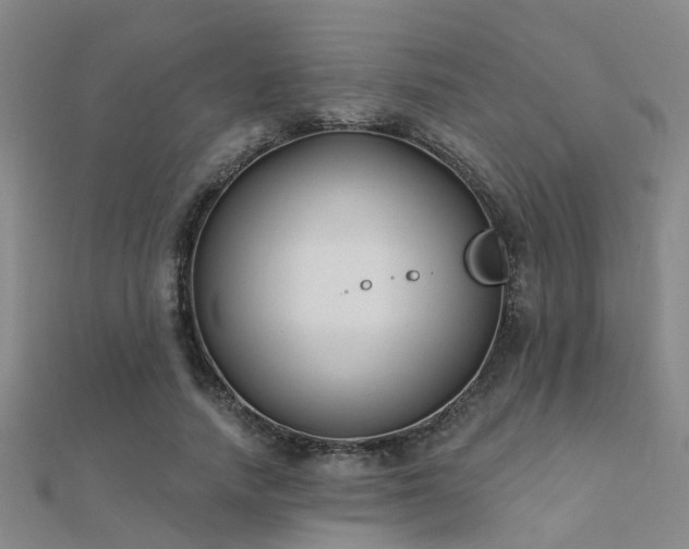 X0000112360738200908131455