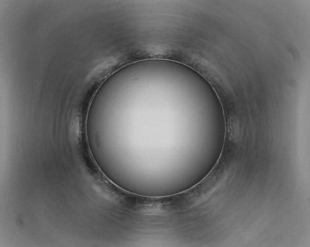 X0000112360740200908131455