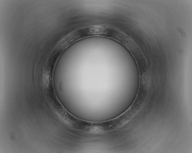 X0000112360741200908131455