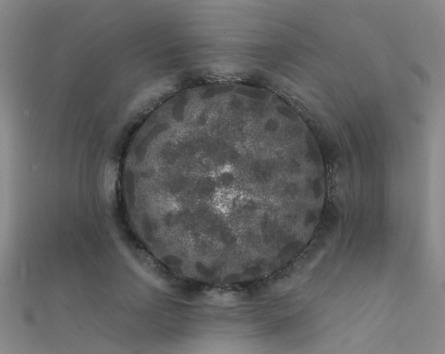 X0000112360742200908131455