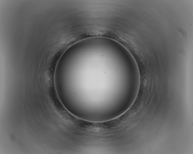 X0000112360743200908131455