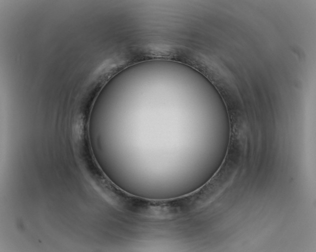 X0000112360744200908131455