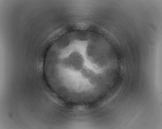 X0000112360745200908131455