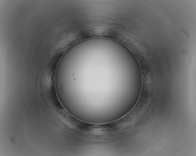 X0000112360746200908131455