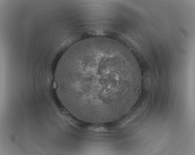 X0000112360747200908131455