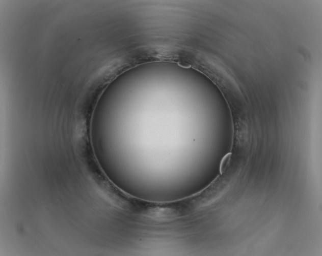 X0000112360748200908131455