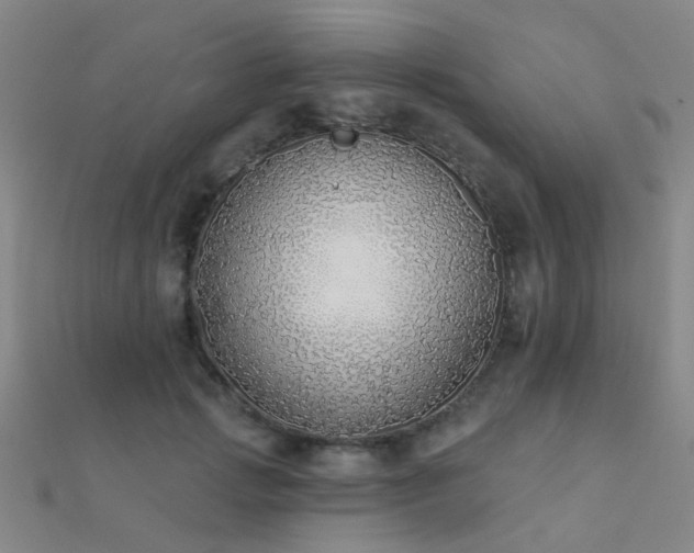 X0000112360749200908131455
