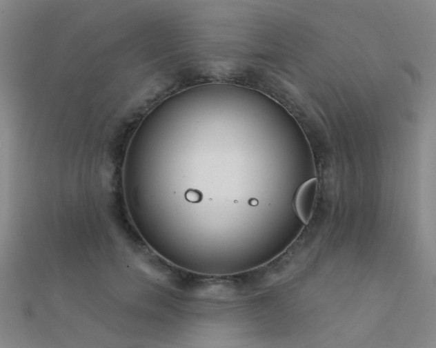 X0000112360750200908131455