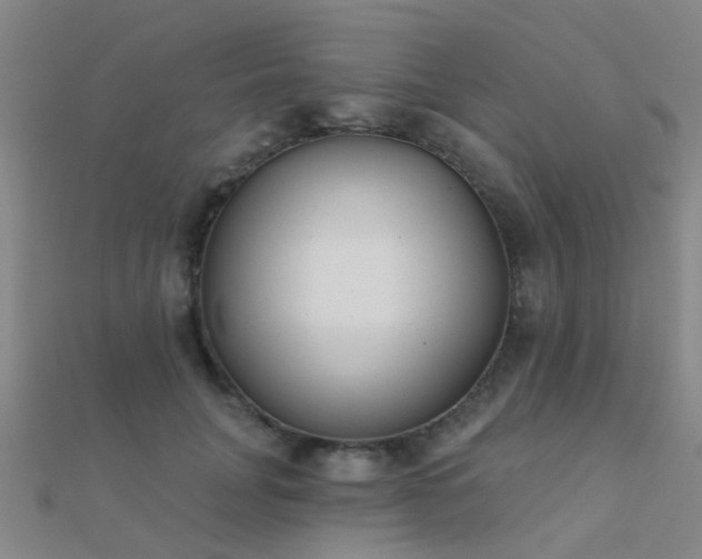 X0000112360751200908131455