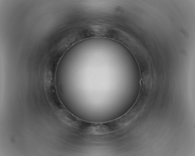 X0000112360752200908131455