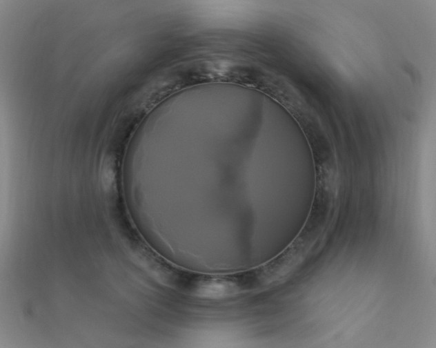 X0000112360754200908131455