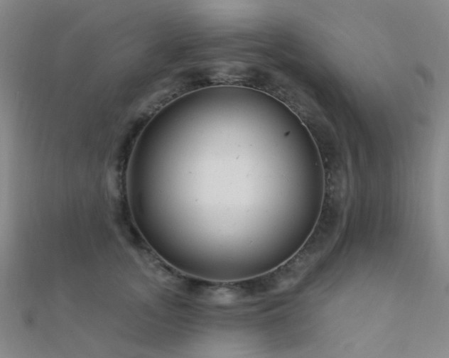 X0000112360755200908131455