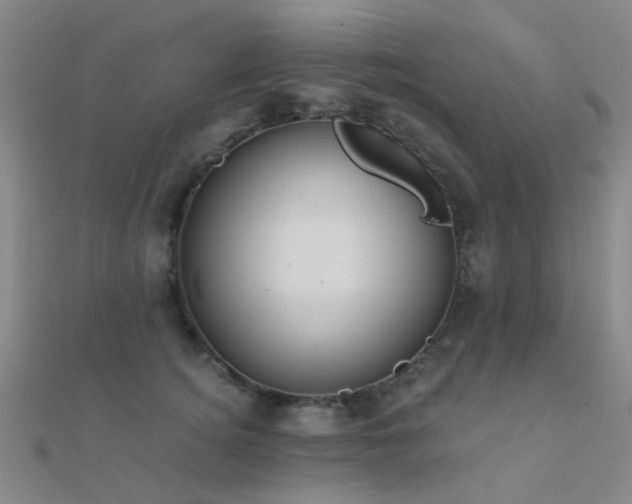 X0000112360756200908131455