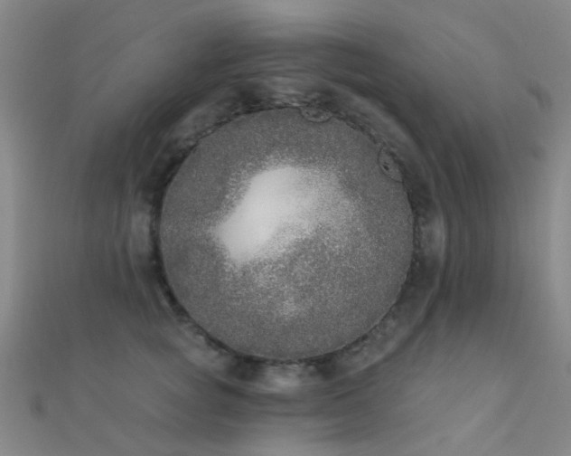 X0000112360757200908131455