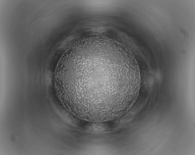 X0000112360758200908131455