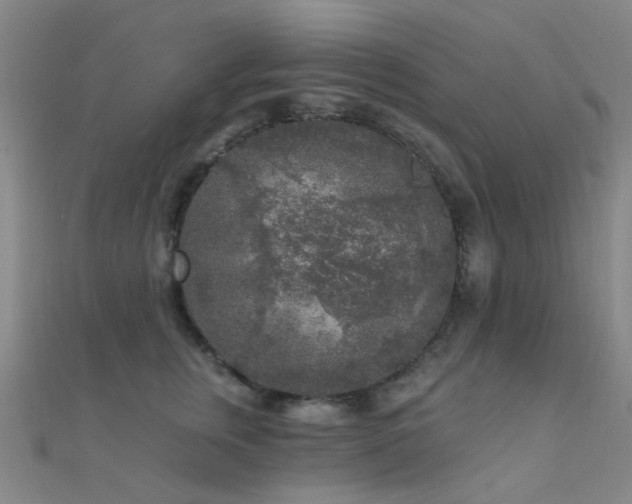 X0000112360759200908131455