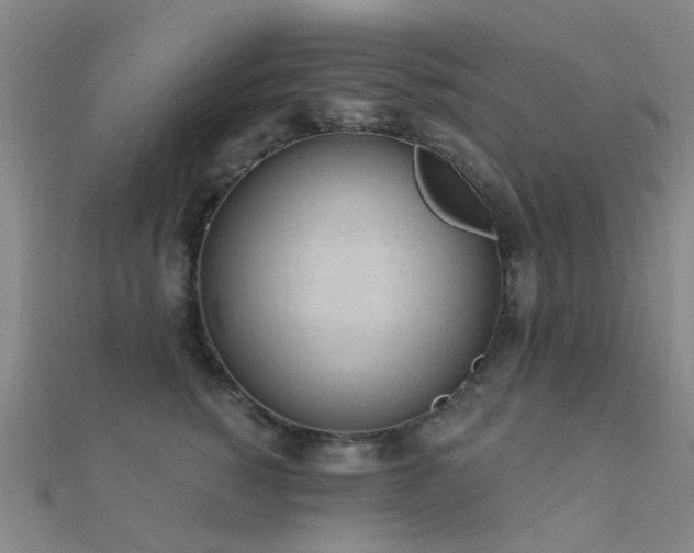 X0000112360760200908131455