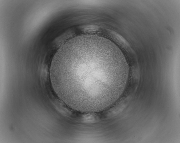 X0000112360761200908131455
