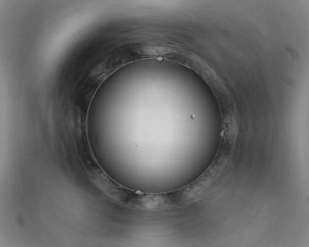 X0000112360762200908131455