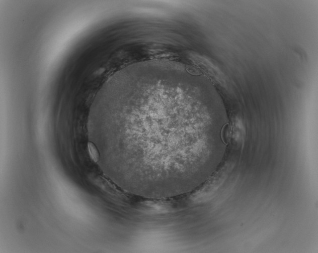 X0000112360763200908131456