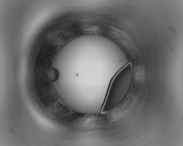 X0000112360764200908131456