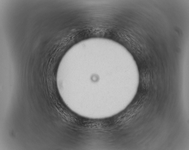 X0000112360769200908131455