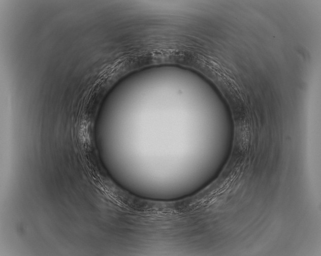 X0000112360770200908131455
