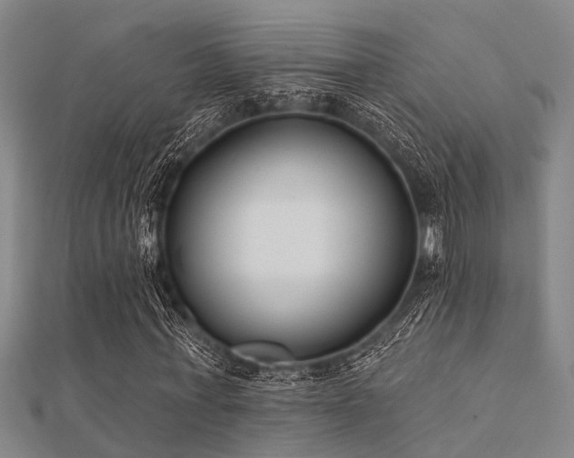 X0000112360771200908131455