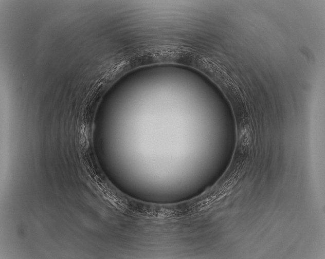 X0000112360772200908131455