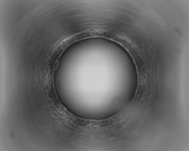 X0000112360773200908131455