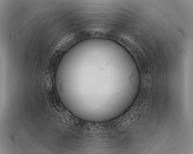 X0000112360774200908131455