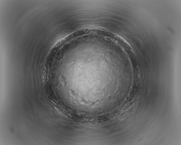 X0000112360775200908131455
